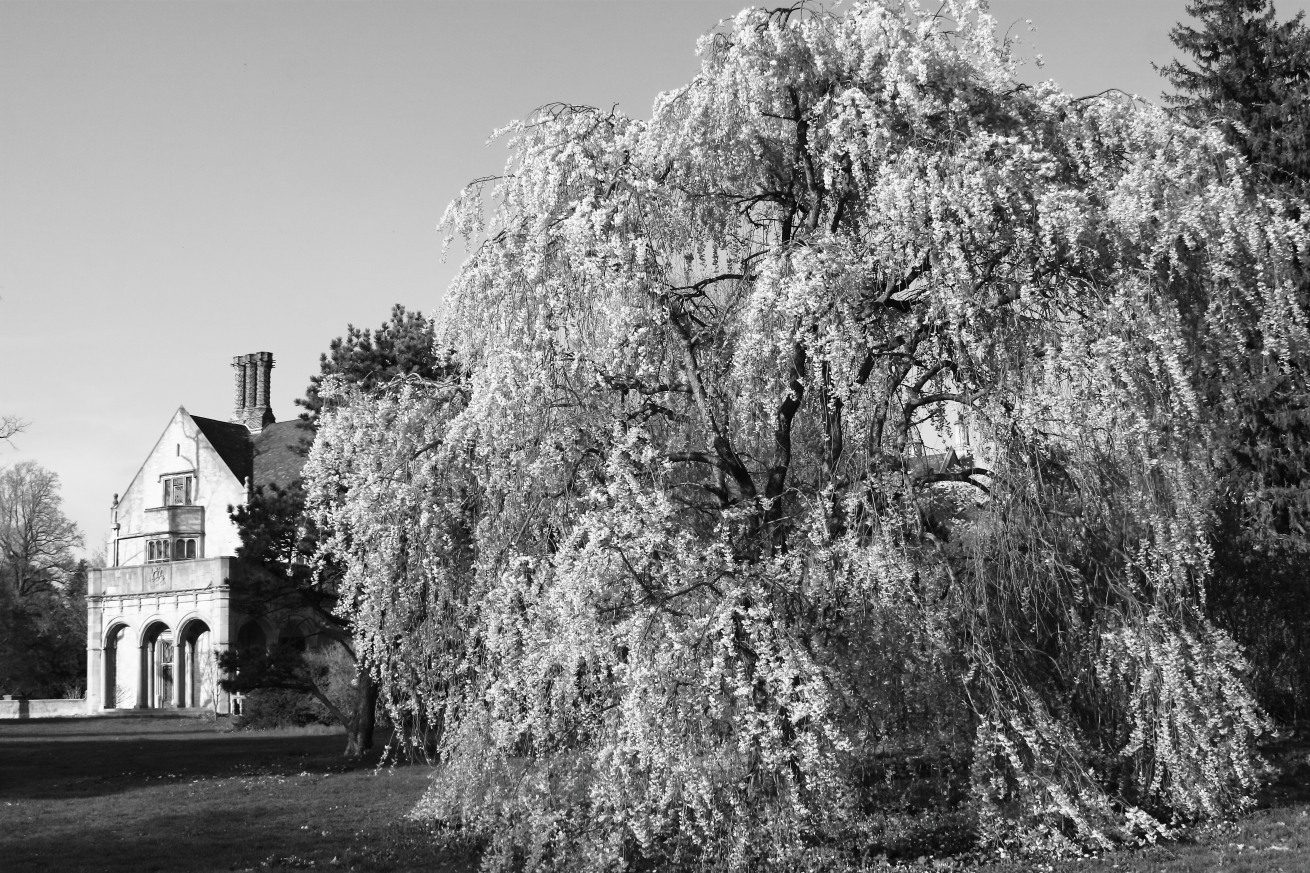 2011 04 25 IMG 28664ebw